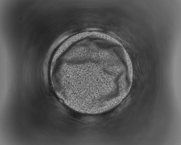 X0000087050341200705160956