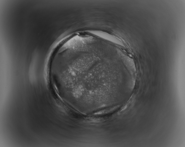 X0000087050343200705160956