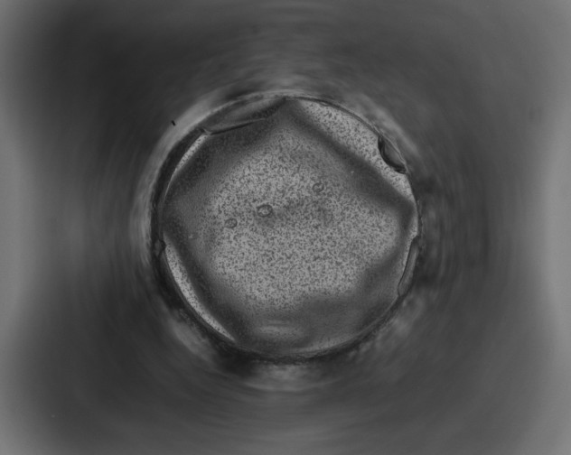 X0000087050344200705160956