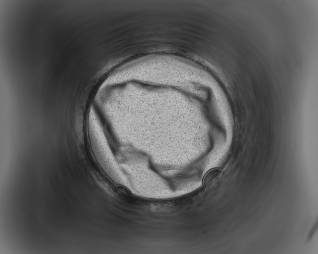 X0000087050345200705160956