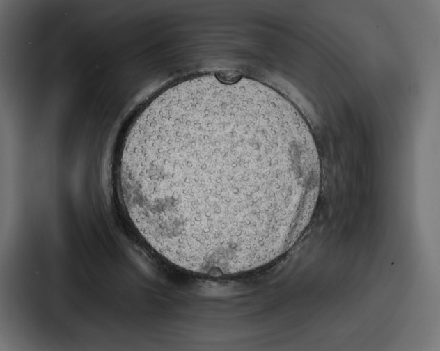 X0000087050346200705160956