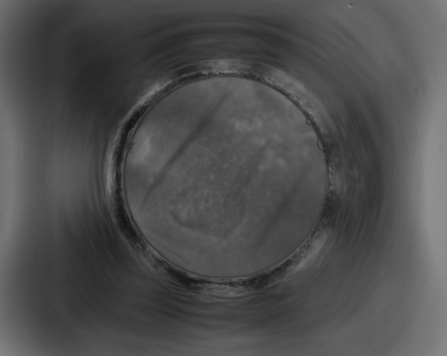 X0000087050347200705160956