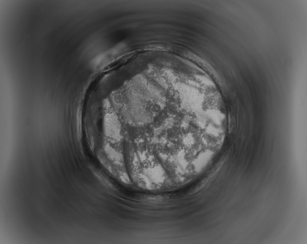 X0000087050349200705160956