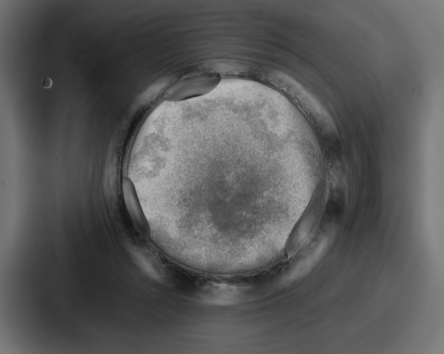 X0000087050352200705160956