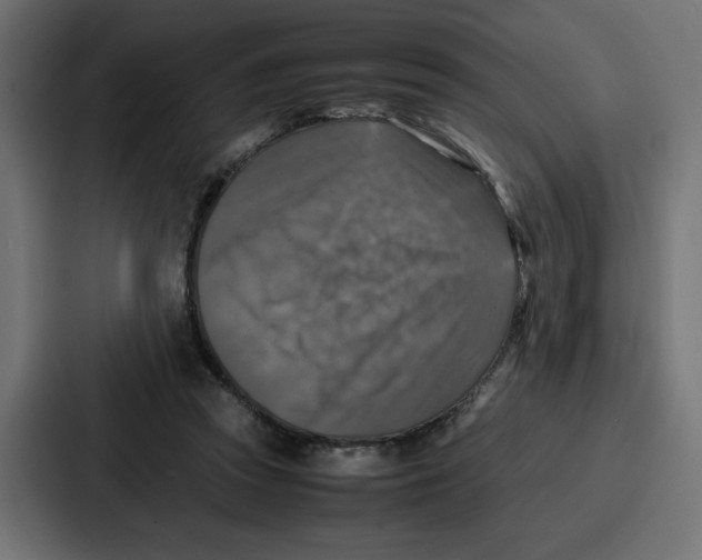 X0000087050353200705160956