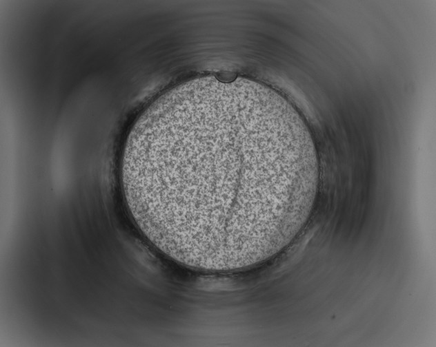 X0000087050354200705160956