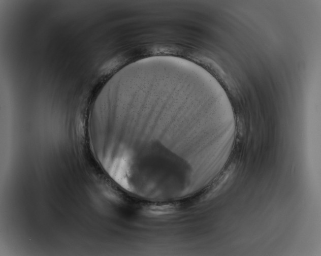 X0000087050357200705160956