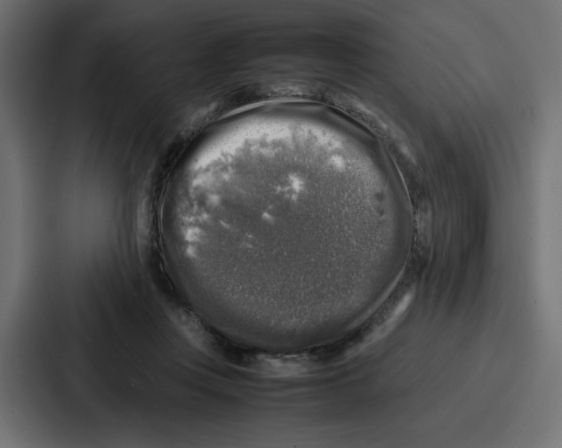 X0000087050359200705160956