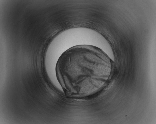 X0000087050360200705160956