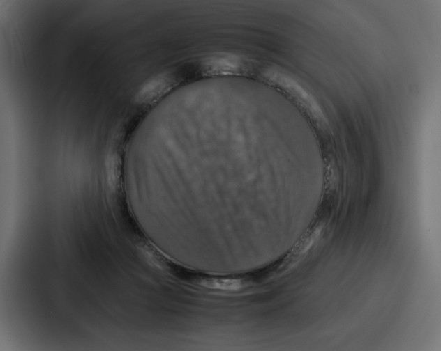 X0000087050361200705160956