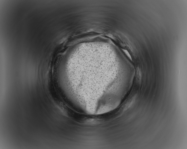 X0000087050364200705160956