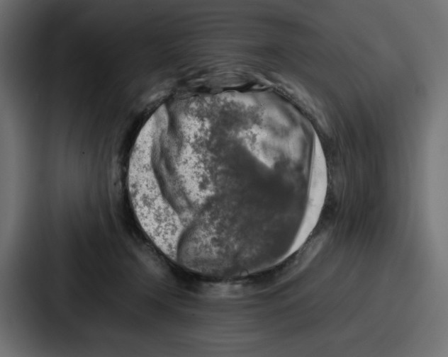 X0000087050366200705160956