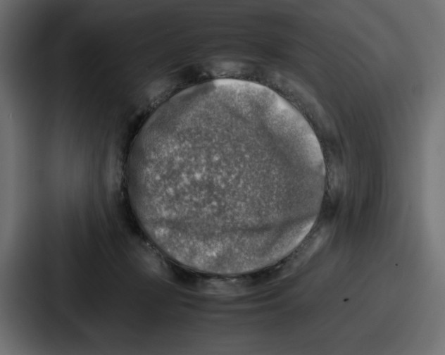 X0000087050367200705160956