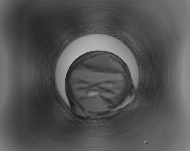 X0000087050368200705160956