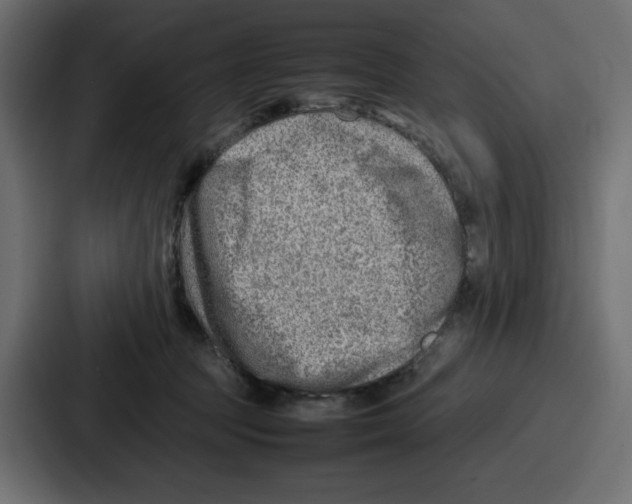 X0000087050369200705160956