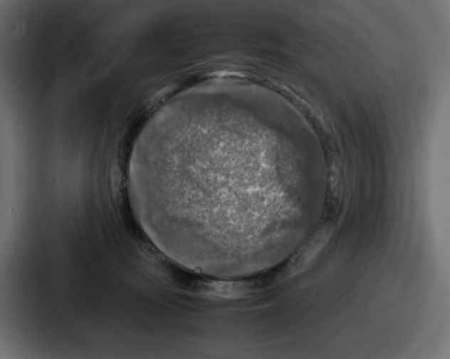 X0000087050371200705160956