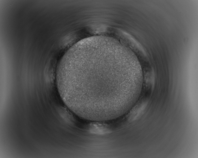 X0000087050372200705160956