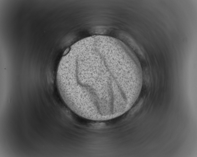 X0000087050374200705160956