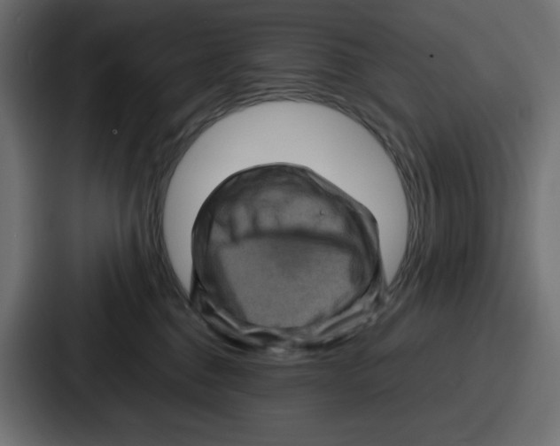 X0000087050376200705160956