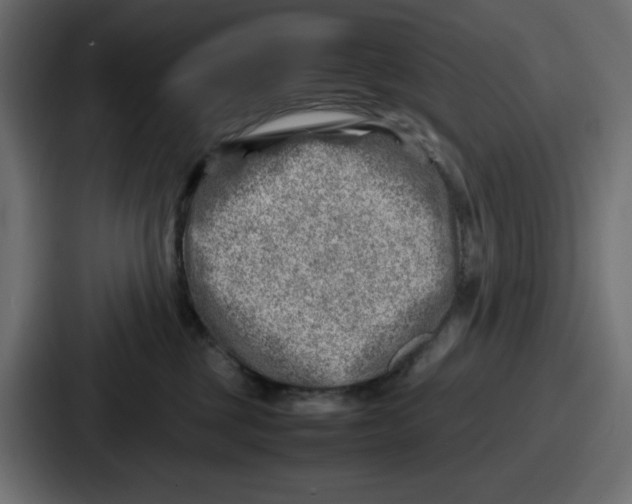 X0000087050377200705160956