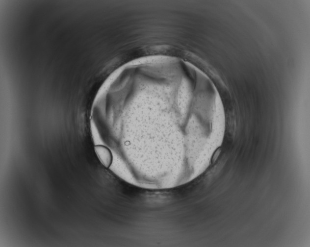 X0000087050378200705160956