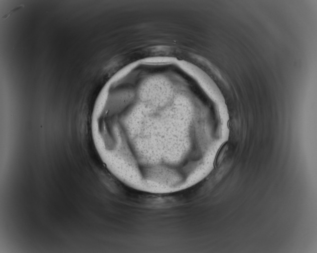 X0000087050379200705160956