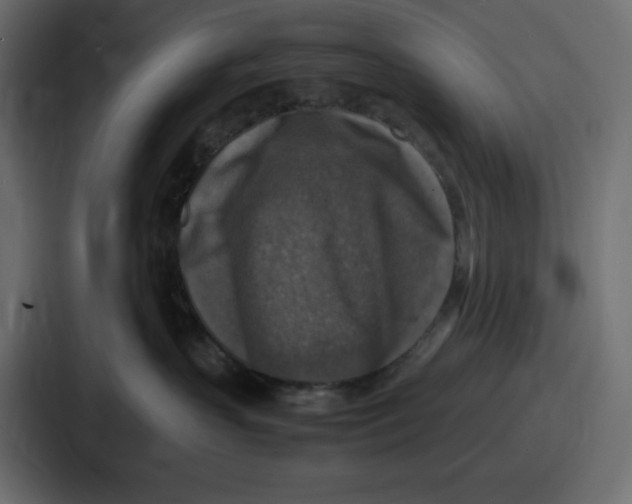 X0000087050383200705160956