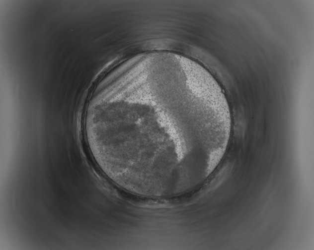 X0000087050386200705160956