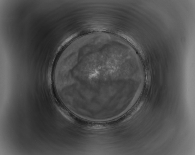 X0000087050390200705160956