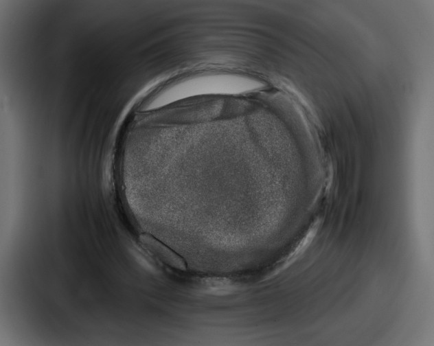 X0000087050392200705160956