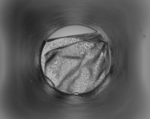 X0000087050393200705160956