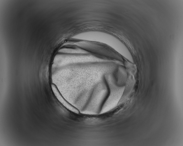 X0000087050397200705160956