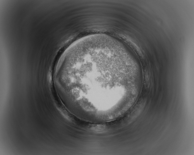 X0000087050398200705160956