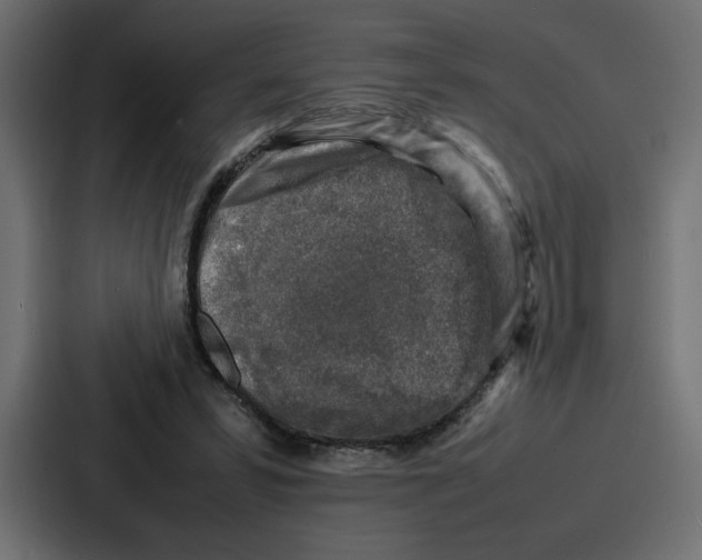 X0000087050399200705160956