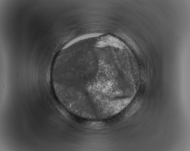 X0000087050401200705160955