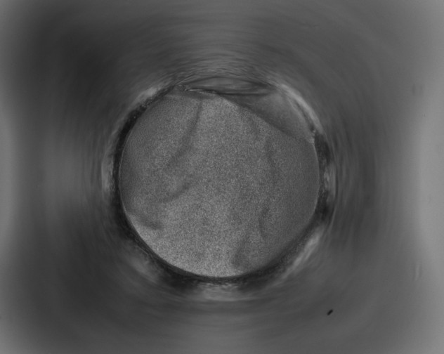 X0000087050403200705160955