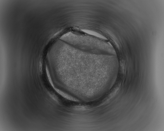 X0000087050404200705160955