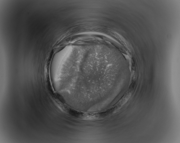 X0000087050405200705160955