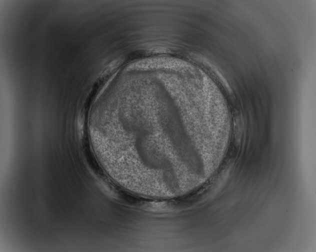 X0000087050406200705160955