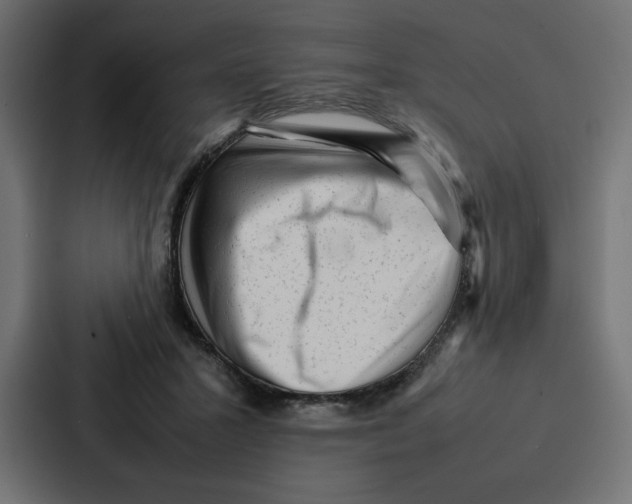 X0000087050407200705160955