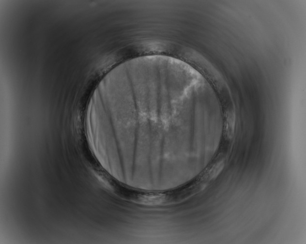 X0000087050410200705160955