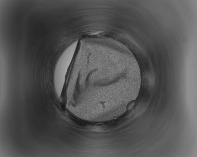 X0000087050412200705160955