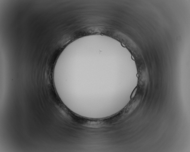 X0000087050414200705160955