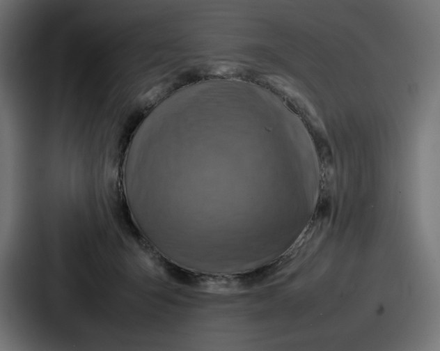 X0000087050415200705160955