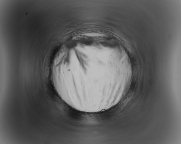 X0000087050417200705160955