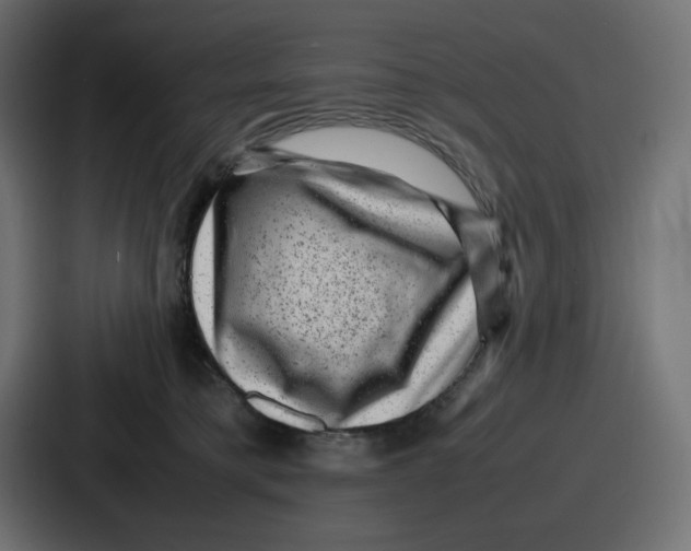 X0000087050421200705160955