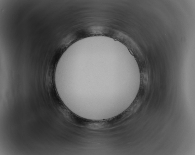 X0000087050422200705160955