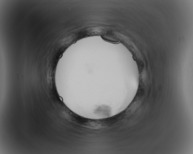 X0000087050423200705160955