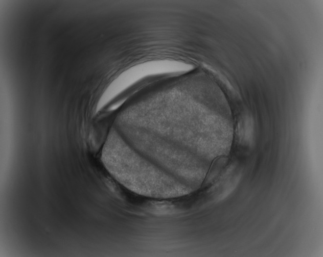 X0000087050424200705160955