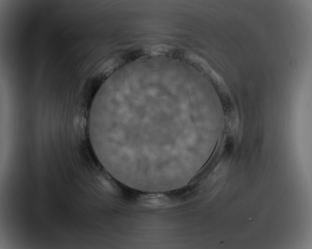 X0000087050427200705160955